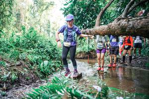 BIB: 
                            <button type="button" onclick="openModal(25478839)" class="btn btn-primary btn-sm float-right btn-popup" data-toggle="modal" data-target=".modal-high-quality">
                        <i class="fas fa-shopping-cart"></i> Add to Cart
                    </button>
                                            <button type="button" onclick="isThisMe(25478839, true)" class="btn btn-success btn-sm float-right btn-popup btn-isme hidden" data-toggle="tooltip" data-placement="bottom" title="นี่คือรูปของคุณใช่ไหม คลิกที่นี่เพื่อเอาเข้าอัลบั้ม">
                        <i class="fas fa-plus"></i> Add to album
                    </button>
                    <button type="button" onclick="isThisMe(25478839, false)" class="btn btn-warning btn-sm float-right btn-popup btn-isnotme hidden">
                        <i class="fas fa-ban"></i> Remove from album
                    </button>